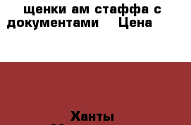 щенки ам.стаффа с документами  › Цена ­ 15 000 - Ханты-Мансийский Животные и растения » Собаки   